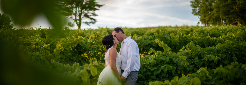 Wedding in the vines - Savage Oakes Vineyard & Winery