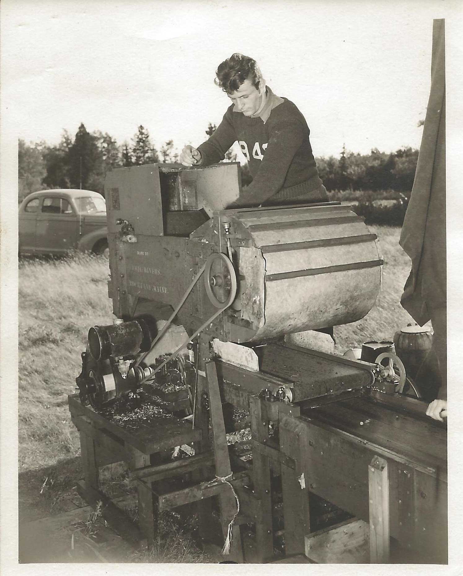 Winnowing Maine Wild Blueberries at Savage Oakes around 1942