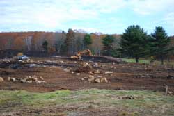 Rock Removal at Savage Oakes' blueberry field