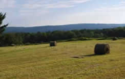 View from the hay field