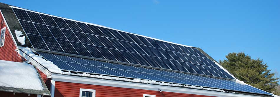 Solar panels on a winter's day at Savage Oakes Vineyard & Winery