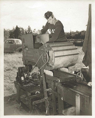 Winnowing blueberries in the field